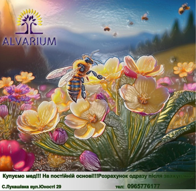 Купуємо Мед Вінниця - зображення 1