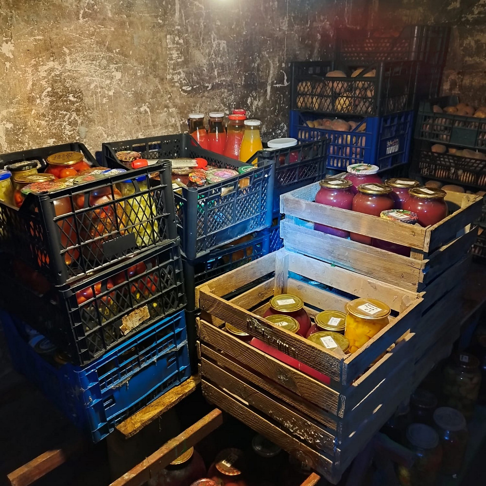 Великий вибір різноманітних вітамінів із нашого льоху на Ваш стіл Киев - изображение 1