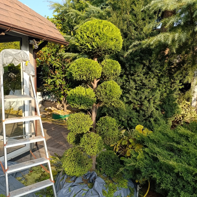 Садівник Одеса - зображення 4