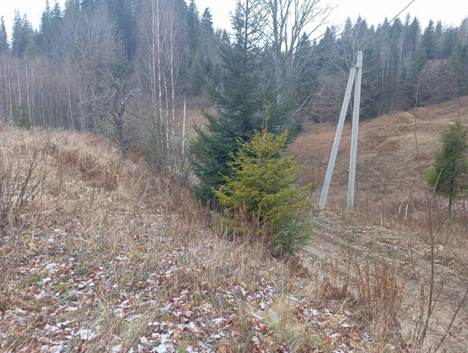 Продається земельна ділянка село Ялинкувате Стрий - зображення 4