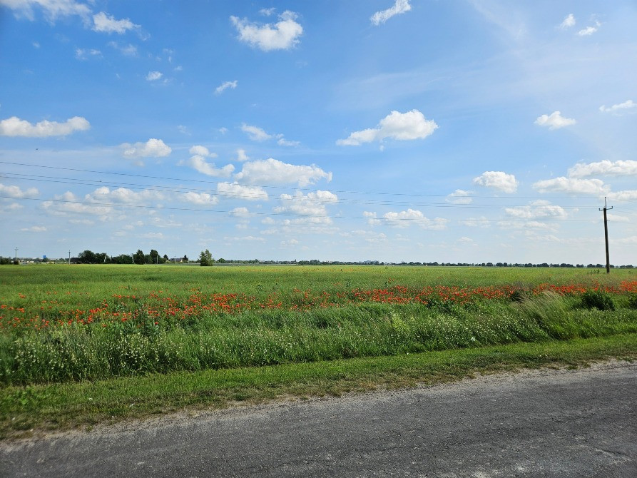 Зниження ціни! Продам земельну ділянку у с. Жидичин Луцьк - зображення 7