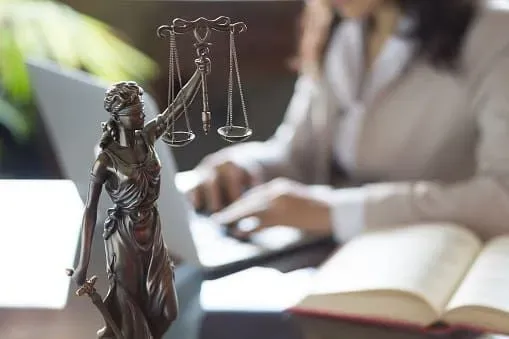 Адвокат для визнання майна індивідуальним у судовому порядку Київ - зображення 3