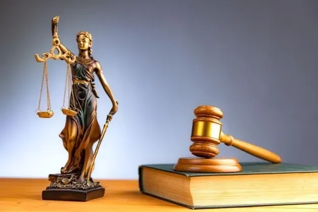 Судовий наказ про стягнення аліментів на дитину. Адвокат Київ Виноград Київ - зображення 3