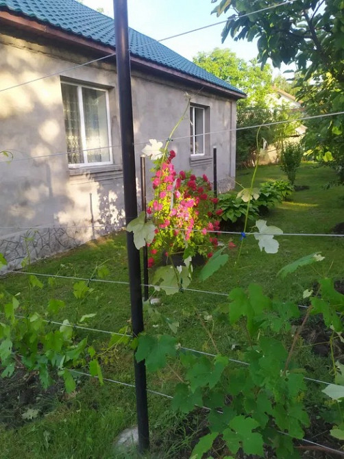 Будинок/дача в мальовничому селі Гумнище, Волинська область Луцьк - зображення 4