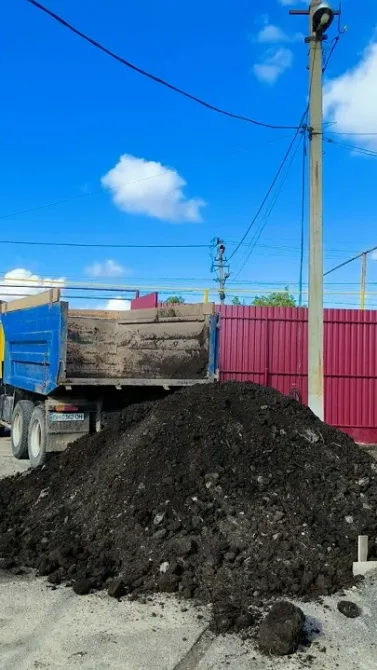 Продам дрова, вугілля, брикети Одеса та область Одеса - зображення 1