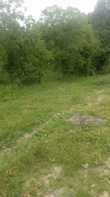 Земельна ділянка 44 сотки під лісом біля парку «Гуцульщина» Косів - зображення 8