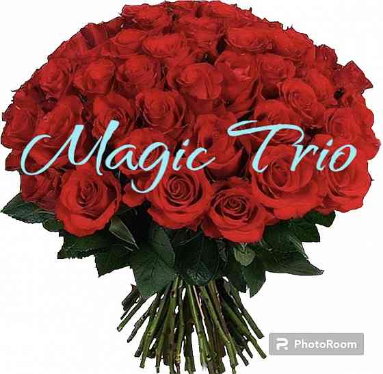 Місцева троянда 60см, від MagicTrio на оболоні самовивіз, доставка Київ