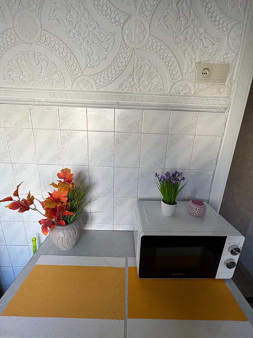 Найкращий гуртожиток на бульварі Лесі Українки. Центр Києва Київ - зображення 10