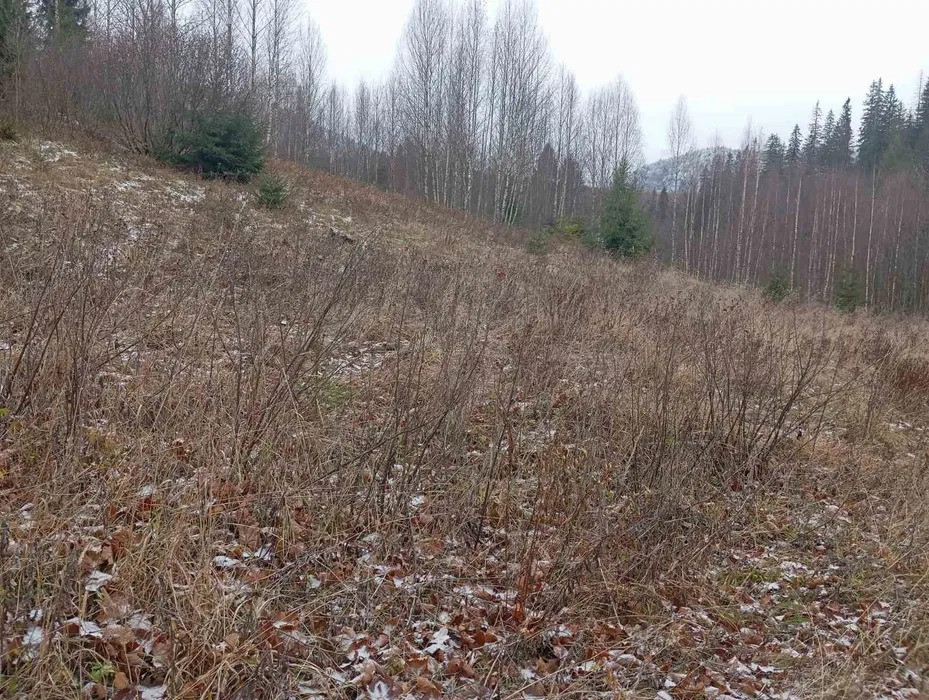 Продається земельна ділянка село Ялинкувате Стрий - зображення 3