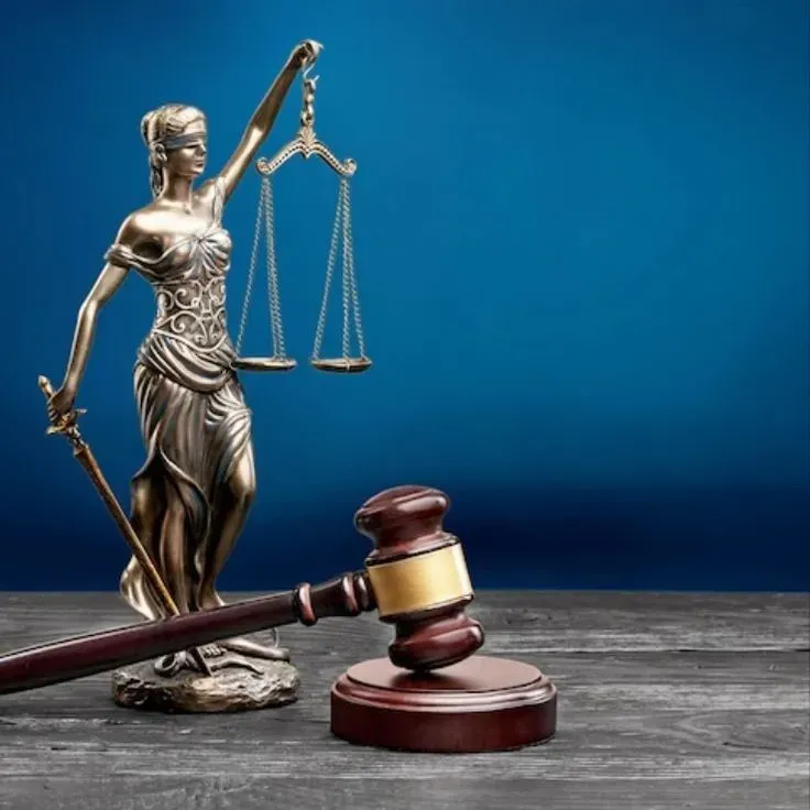 Виконання рішень суду допомога адвоката Київ та онлайн Київ - зображення 1