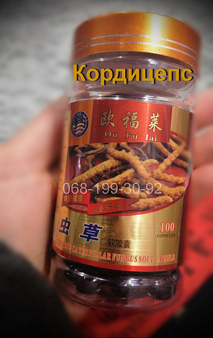 Кордицепс китайський в капсулах, 100 шт Запоріжжя - зображення 1