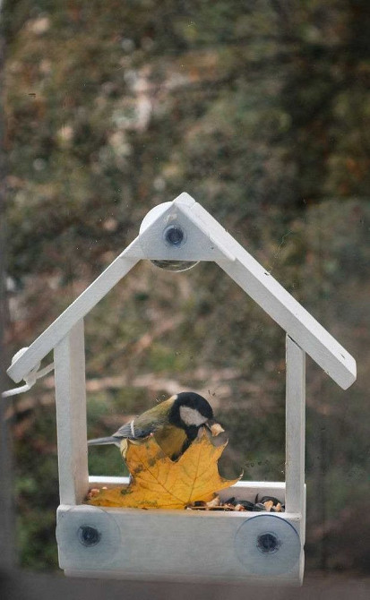 Кормушка Кам'янське - зображення 1