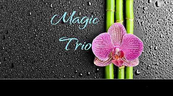 Magic Тріо" на Оболоні, букети квітів, квіти композиції з доставкою Київ