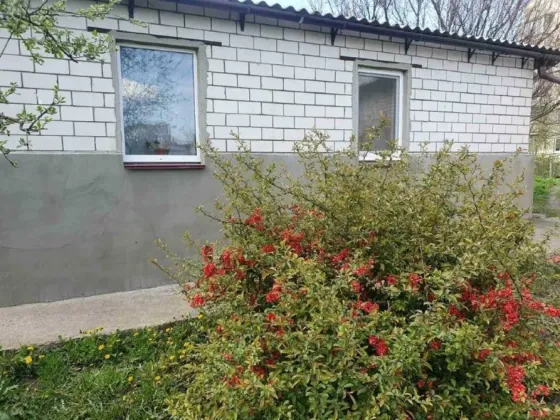 Продаж будинку смт Баришівка, центр 3 кімн., 67 кв.м., 11 соток Барышевка