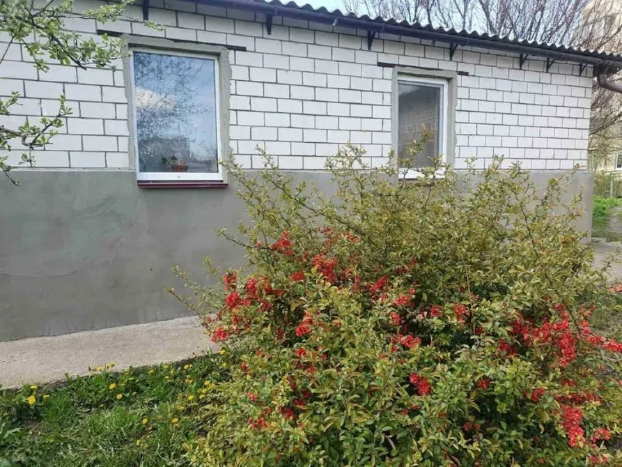 Продаж будинку смт Баришівка, центр 3 кімн., 67 кв.м., 11 соток Баришівка - зображення 4