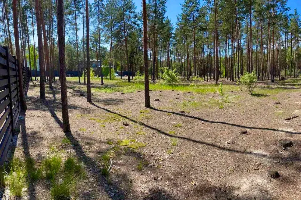 Ділянка під будівництво 34 сотки з лісом Вишгород - зображення 12