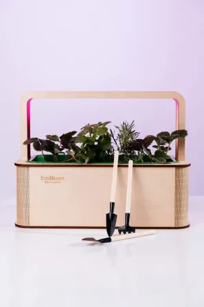 EcoBloom Smart Garden Розумний сад вдома Одеса