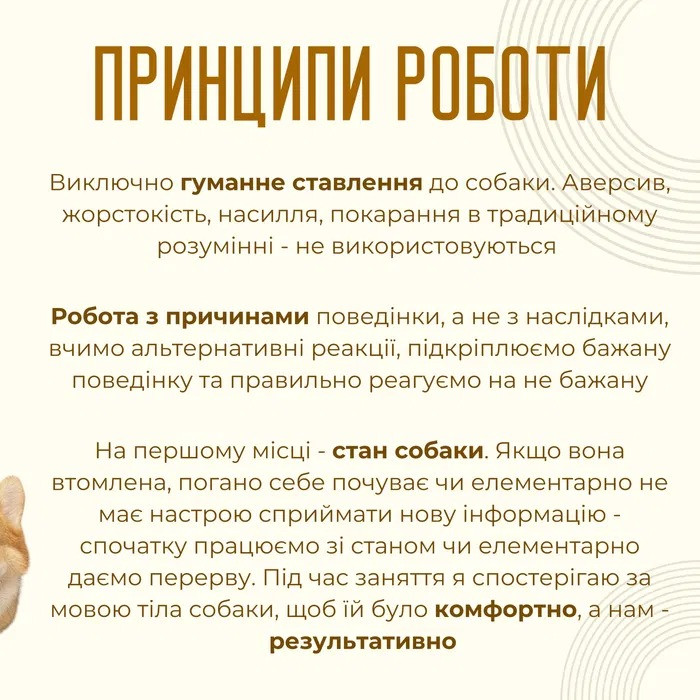 Консультація кінолога онлайн – порозумійтеся з вашим собакою Луцк - изображение 3