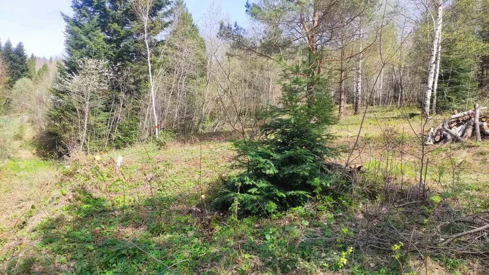 Продам земельну ділянку в м. Східниця під забудову — 9 сотих Борислав - изображение 8