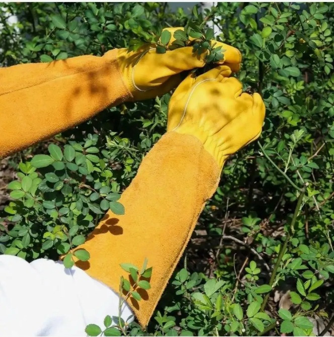 Рукавички для обрізання троянд та колючих рослин Полтава - изображение 6