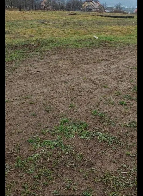 Продається земельна ділянка в с. Терново, Тячівський район Тячів - зображення 3