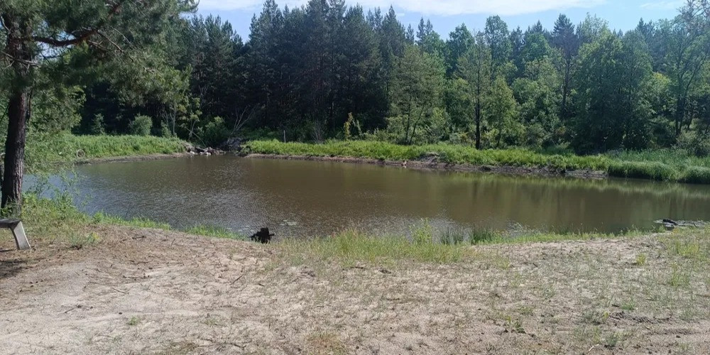 Продається будинок із великою земельною ділянкою в мальовничому місці Макаров - изображение 2