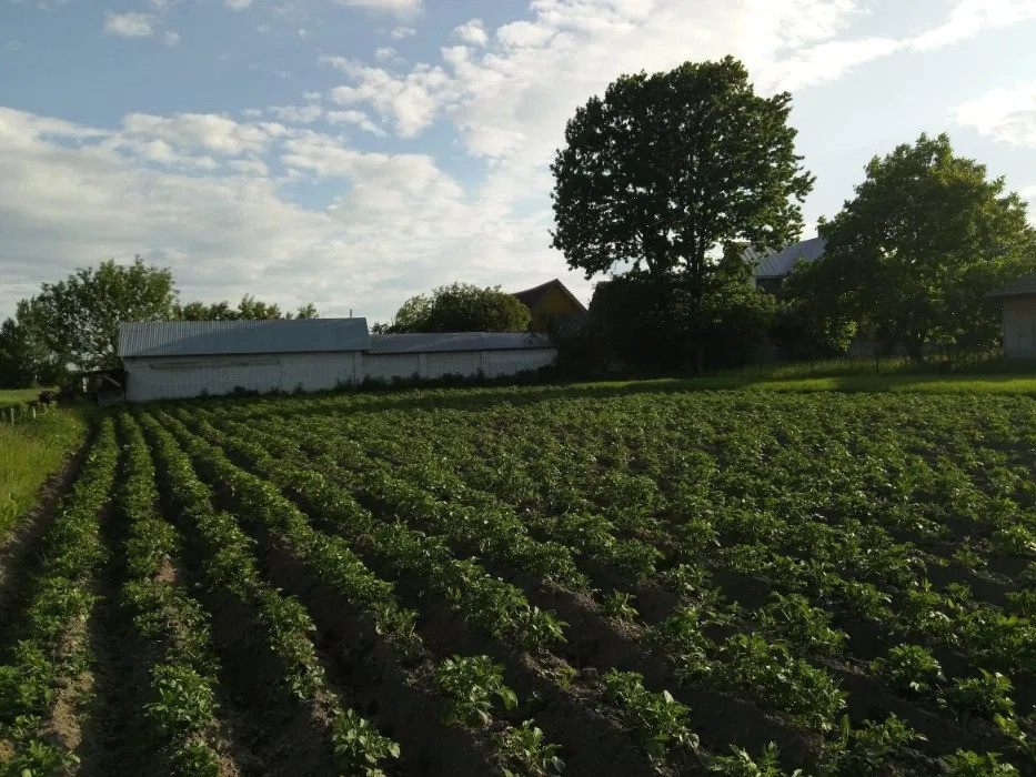 Продається земельна ділянка в с. Рудники, Львівська область Николаев - изображение 4