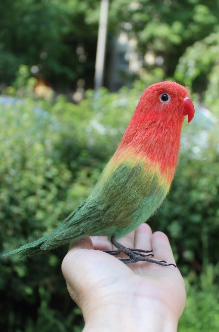 Неразлучник попугай валяна іграшка з шерсті папуга інтерєрєрна игрушка Одеса - зображення 1