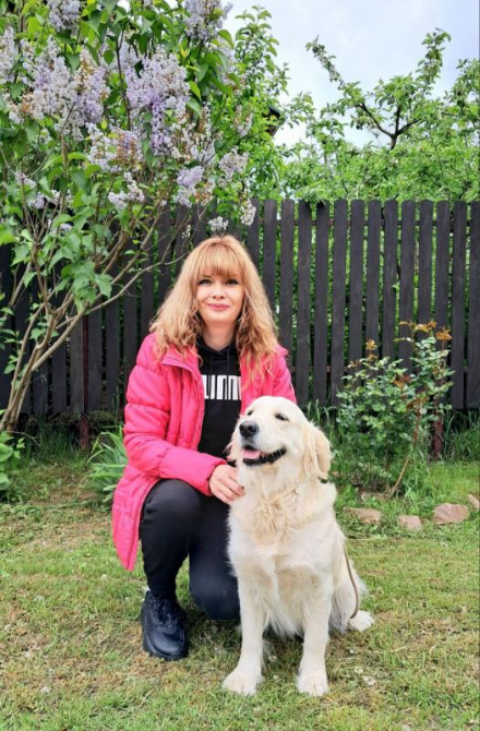 Золотистого ретрівера цуценята Bahur Львів - зображення 7