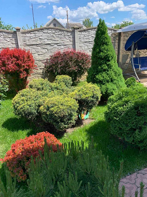 Продам гарний будинок для поціновувачів тихого та комфортного життя Днепродзержинск - изображение 12