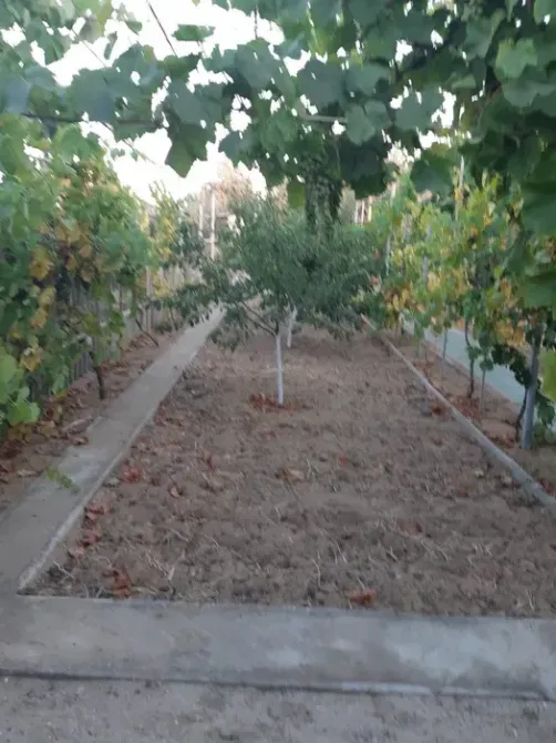 Продам гараж-дом Белгород-Днестровский - изображение 12