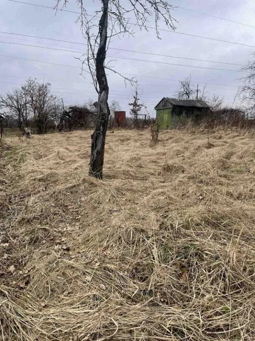 Продається дачна ділянка, 5, 5 соток, СТ "Хімік Новояворівськ - зображення 3