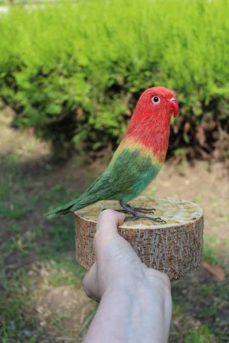 Неразлучник попугай валяна іграшка з шерсті папуга інтерєрєрна игрушка Одеса - зображення 3