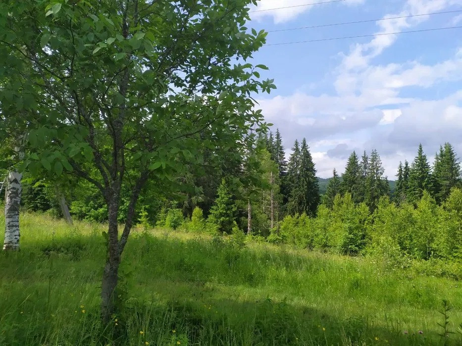 Терміново! Земельна ділянка в Карпатах Калуш - изображение 3