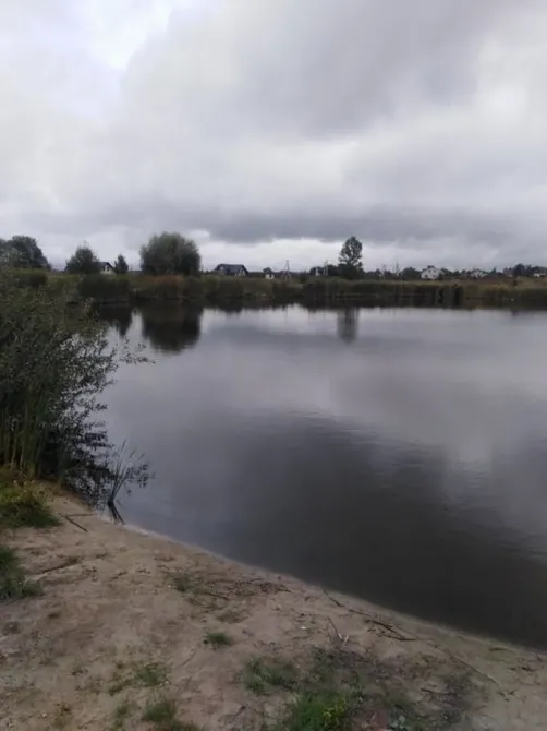 Продам будинок з великою ділянкою в с. Пилиповичі Бородянка - зображення 9