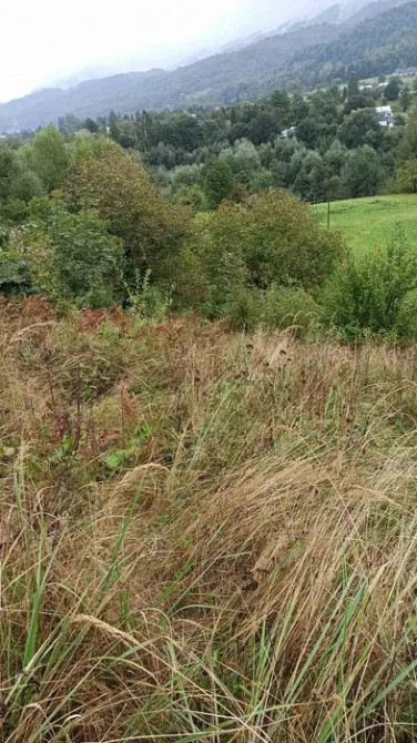 Продам приватизовану земельну ділянку в Карпатах, с. Прокурава Косов - изображение 3