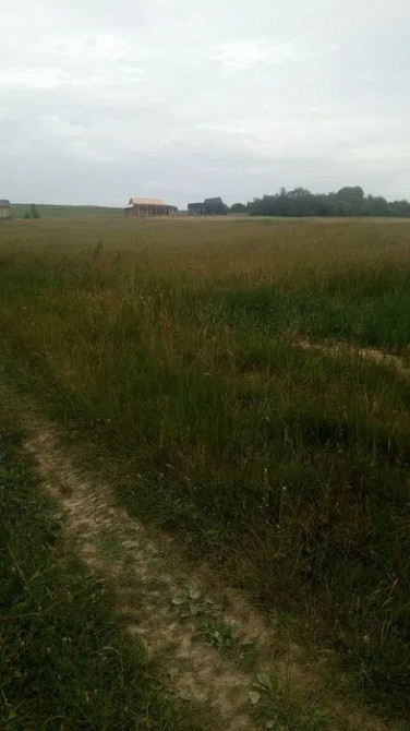 Земельна ділянка 44 сотки під лісом біля парку «Гуцульщина» Косів - зображення 6