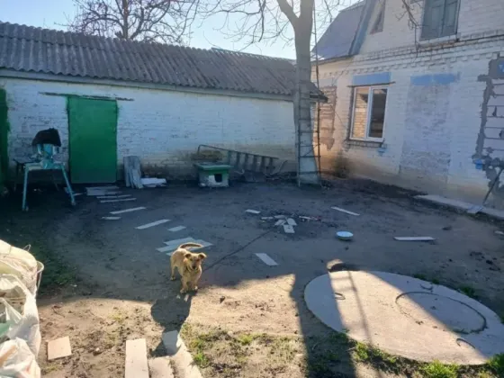 Продається будинок в смт Велика Димерка Бровары