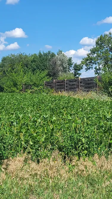 Участок 20 соток, з видом на Дніпро Київ - зображення 2