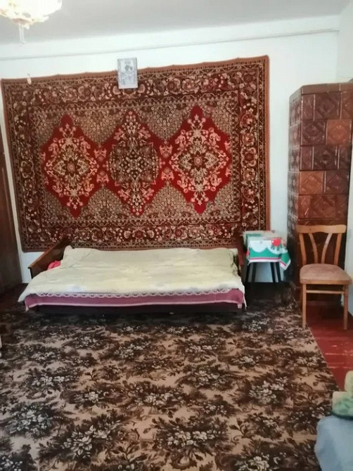 Продається будинок у мальовничому селі Грусятичі Жидачів - зображення 6