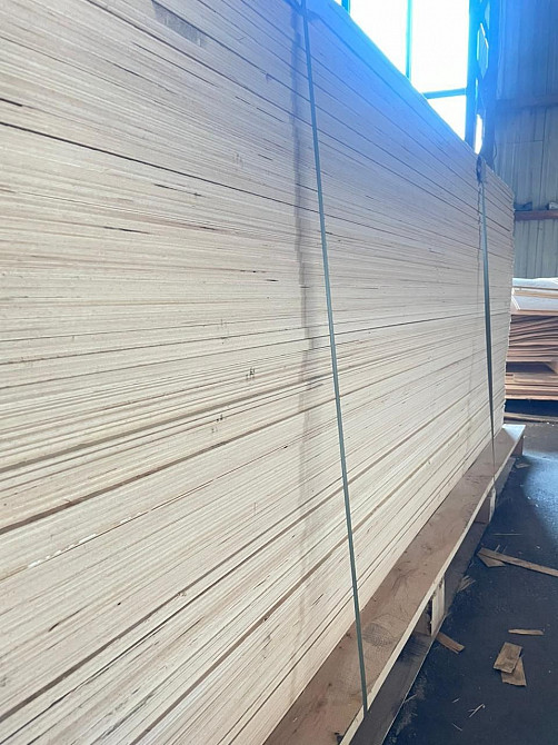 Фанера ФК не шліфована - бук, асортимент Київ - зображення 3