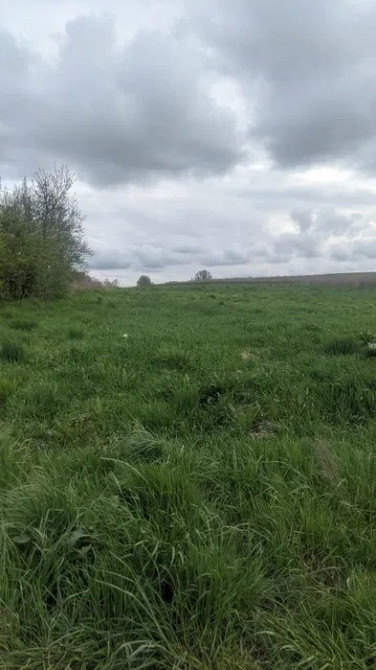 Земельна ділянка 10 сот. Гамаліївка Львов - изображение 5