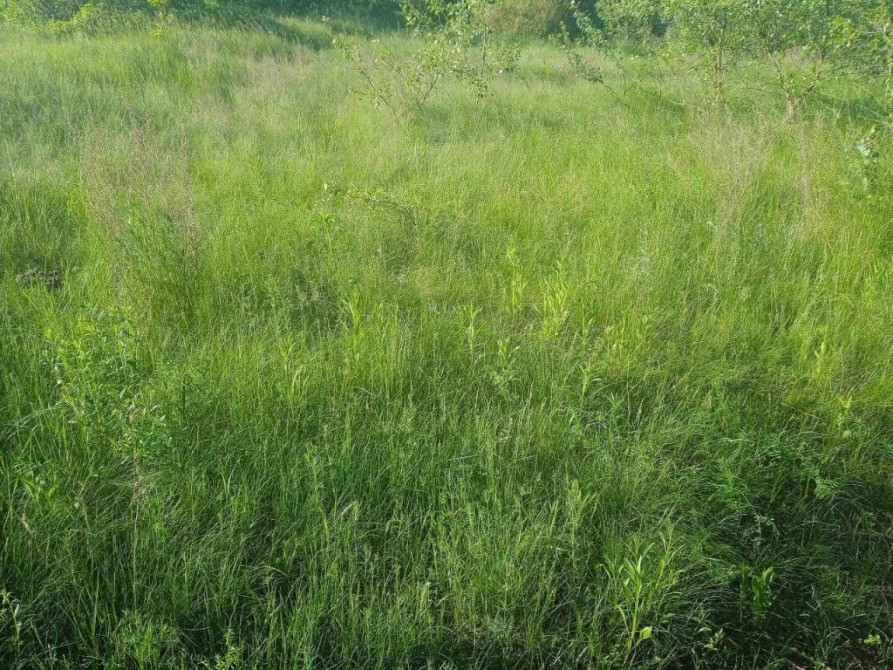 Продаю незавершене будівництво пром будівлі, ділянка 1, 5 га, Свалява Свалява - зображення 5