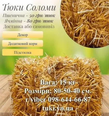 Солома та сіно в тюках урожай 2025 року, Вінницька обл Жмеринка
