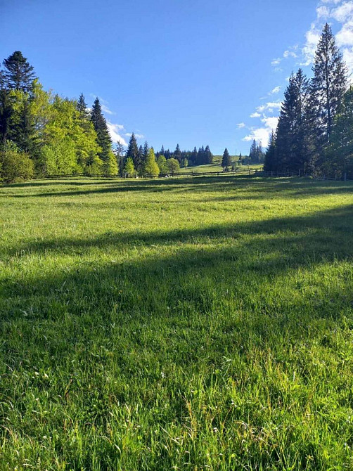 Терміновий Продаж земельної ділянки в с. Яблуниця Яремче - изображение 10
