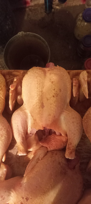 Продам тушку бройлера Новомосковськ - зображення 2