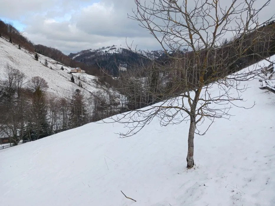 Продаж земельної ділянки в Карпатах – с. Буковець, Верховинський район Ивано-Франковск - изображение 6