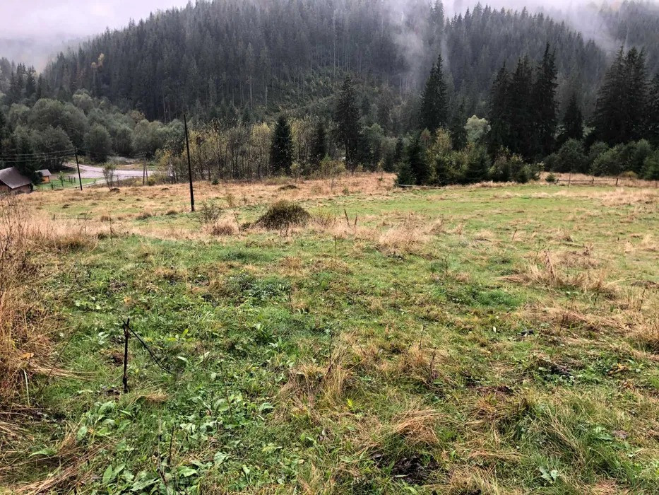 Продається унікальна земельна ділянка у с. Вишків, Калуський район Калуш - изображение 1