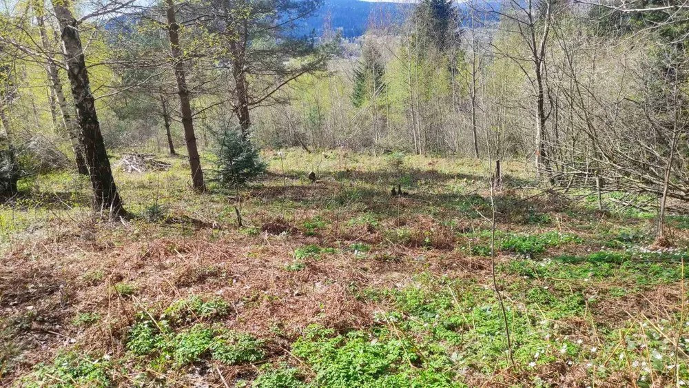 Продам земельну ділянку в м. Східниця під забудову — 9 сотих Борислав - изображение 2