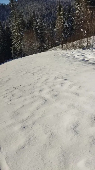 Земельна ділянка у Ворохті, 33 сот, під бізнес чи забудову Надворная - изображение 7